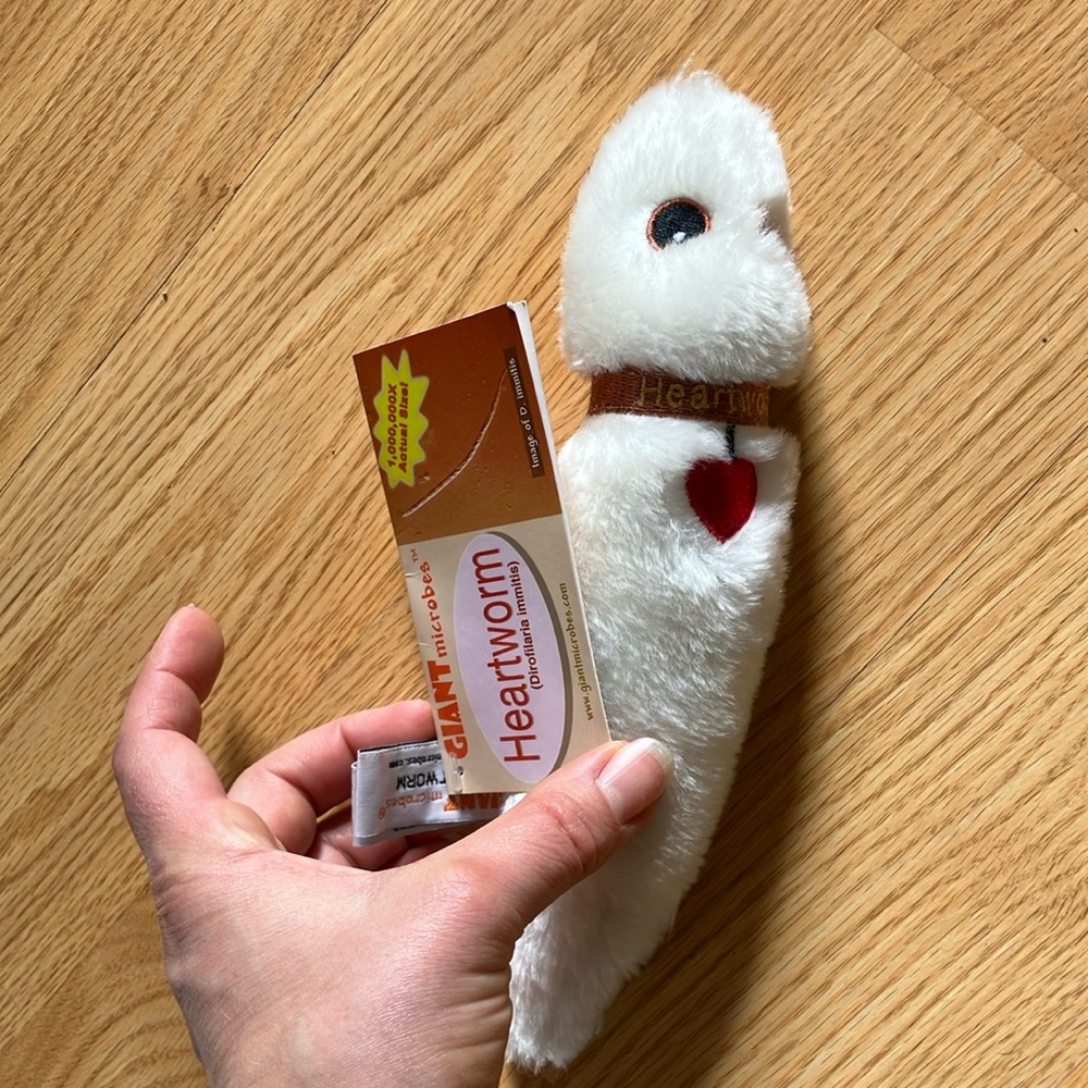 Fluffy White Plush Toy Accent